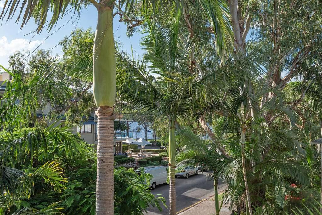 Noosa River Resort Apartment On Gympie Terrace Noosaville Exterior photo